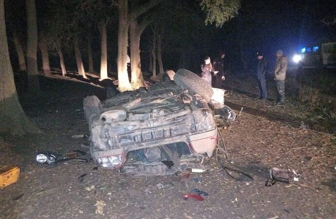На Одещині водій «Тойоти» врізався в дерево та загинув