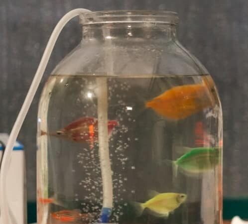 «Пункт незламності», Суворовский4