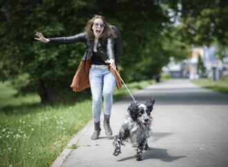 Приучение собаки к поводку: избегаем распространенных ошибок