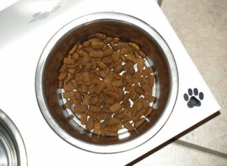 Можно ли кормить собаку кормом класса премиум?