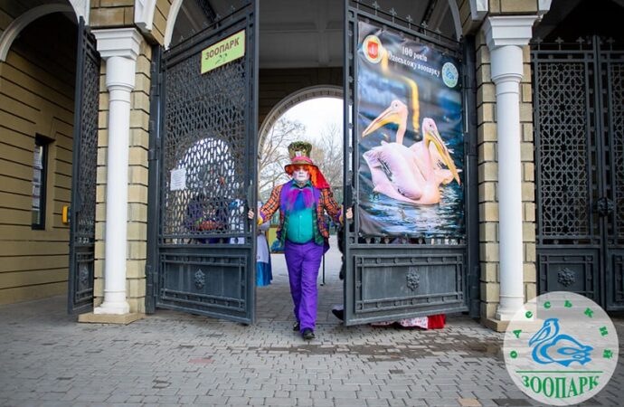 В Одесском зоопарке снимают новогодний клип2