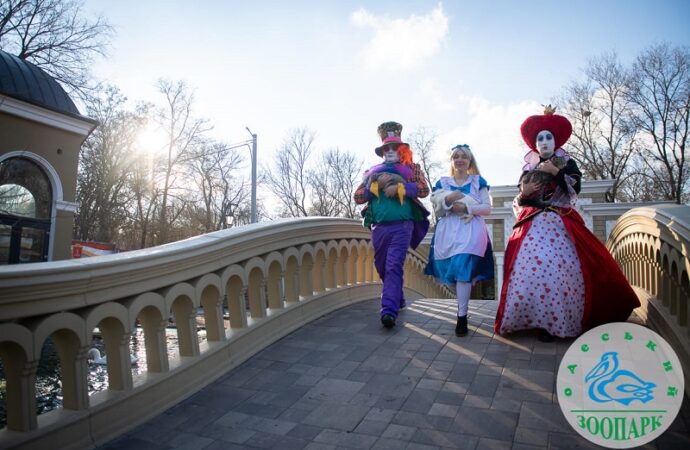 В Одесском зоопарке снимают новогодний клип3