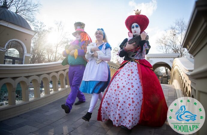 В Одесском зоопарке снимают новогодний клип5