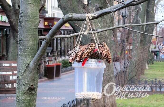 Одесский Горсад, 1 января 2023 года