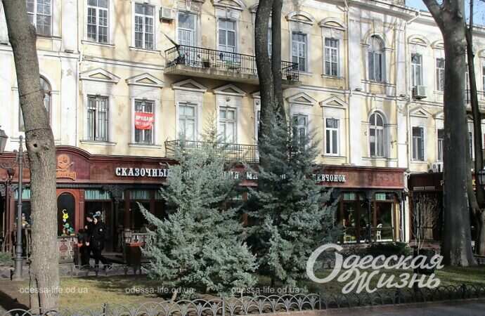 Одесский Горсад, 1 января 2023 года12