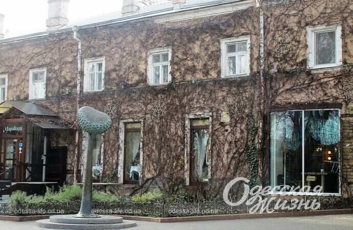 Одесский Горсад, 1 января 2023 года16