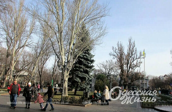Весняне перше січня в одеському Міськсаду (фоторепортаж)