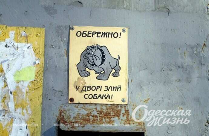 Одесская Михайловская, злая собака