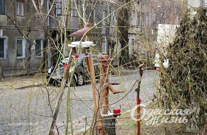 Палисадник на Молдаванке2