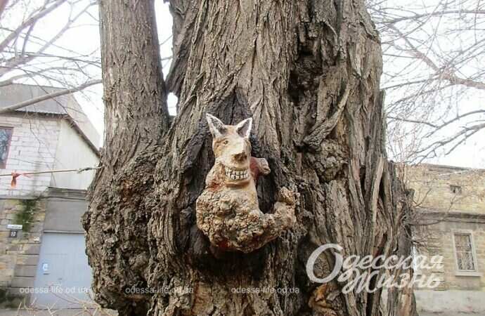 Палисадник на Молдаванке, Чертик