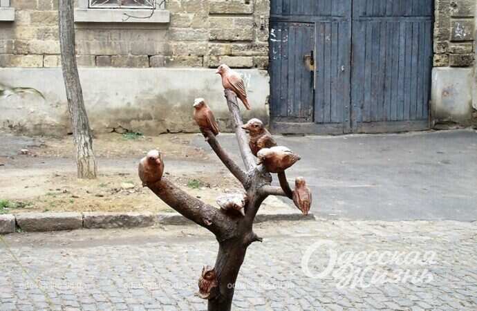 Палисадник на Молдаванке, птицы
