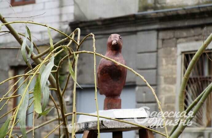 Палисадник на Молдаванке, голубь