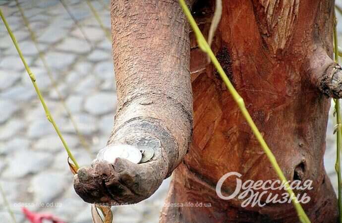 Палисадник на Молдаванке, монеты