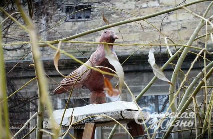 Палисадник на Молдаванке, птица