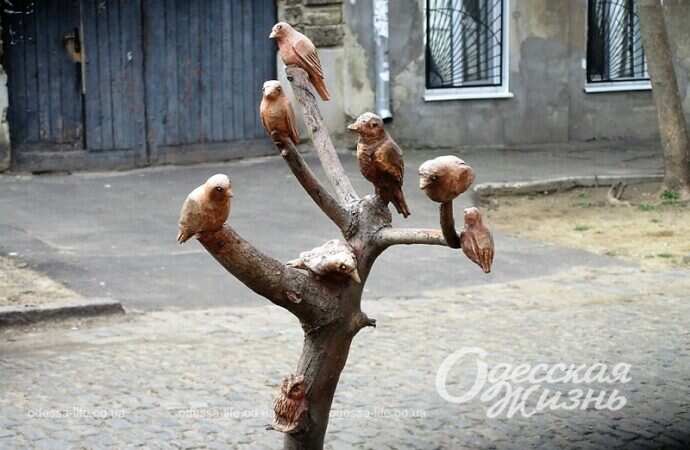 Палисадник на Молдаванке, дерево