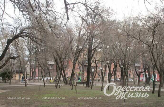 Серединский сквер7