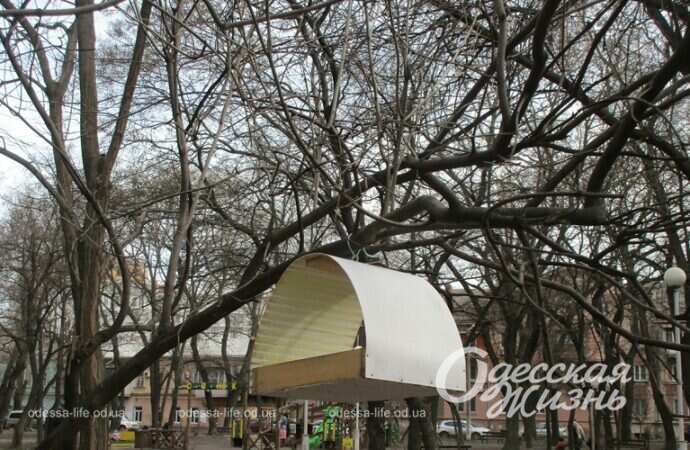 Серединский сквер9