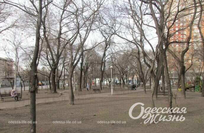 Серединский сквер3