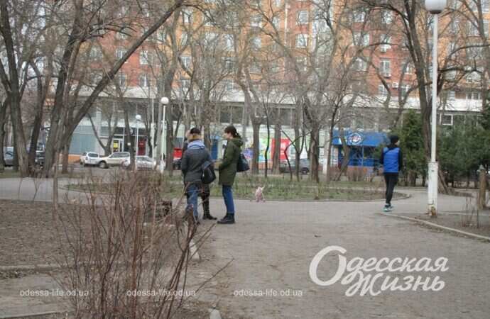 Серединский сквер6