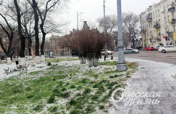Январь в Одессе, площадь, трава