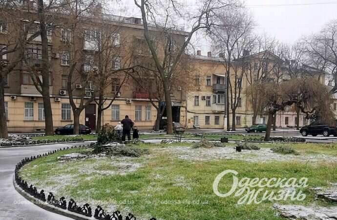 Январь в Одессе, газон