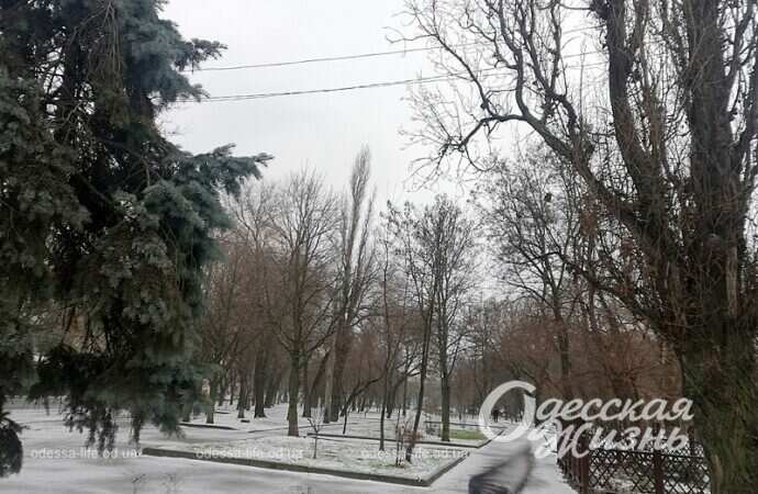 Одесский сквер Витте зимой