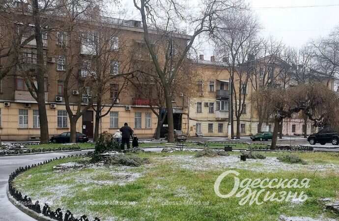 Одесский сквер Витте, газон