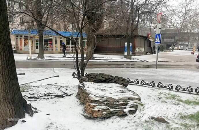 Одесский сквер Витте в снегу