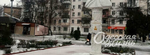 Одеський сквер Вітте: дерева, годівниці та жодної лави (фоторепортаж)