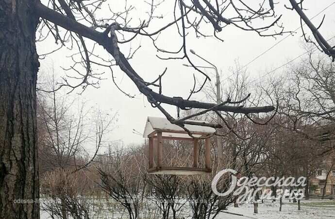 Одесский сквер Витте, кормушка