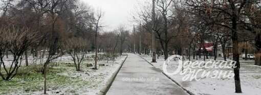 Погода в Одессе: каков прогноз на первый день февраля