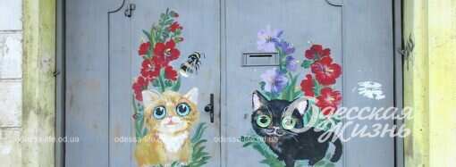 Одесские штучки: котики на воротах, собачки на фасаде (фотофакт)