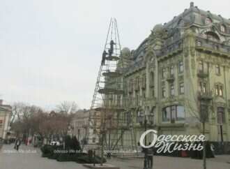 Одесситы попрощались с главной городской елкой на Дерибасовской