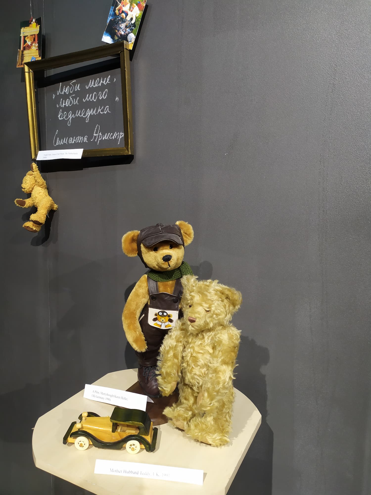 Выставка плюшевый мишка Тедди