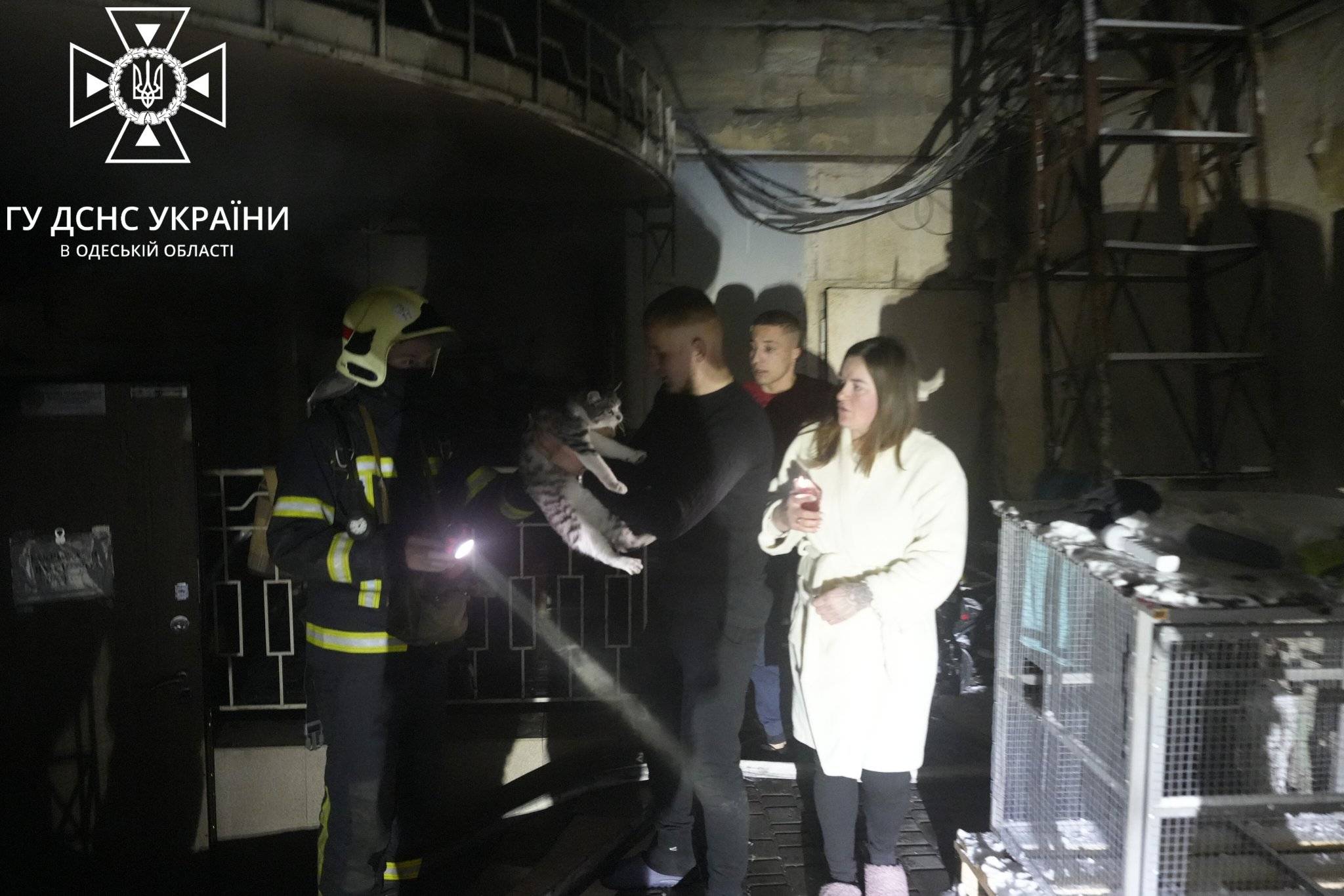 спасатели эвакуируют людей и кота во время пожара в хотеле на жуковского