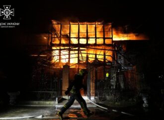 Сильный пожар под Одессой уничтожил три дома (фоторепортаж)