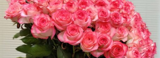 Букет із 101 троянди – шикарний подарунок від ViaFlor, який запам’ятається на довгі роки