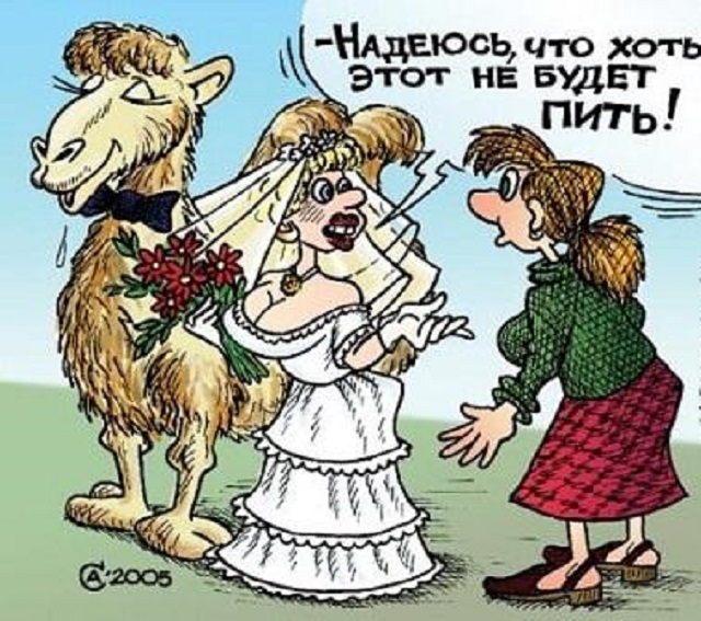 Невеста, карикатура