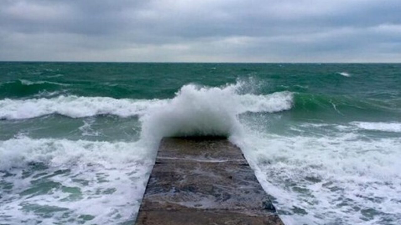 В морской воде в Одессе обнаружили возбудителей опасных заболеваний -  Одесская Жизнь