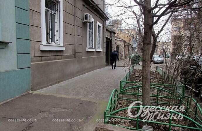 Одесская улица Садиковская, палисадник