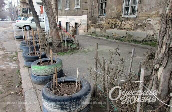 Одесская улица Садиковская, шины