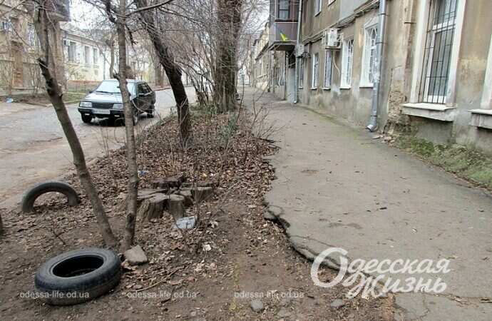 Одесская улица Садиковская, дом, деревья, шины