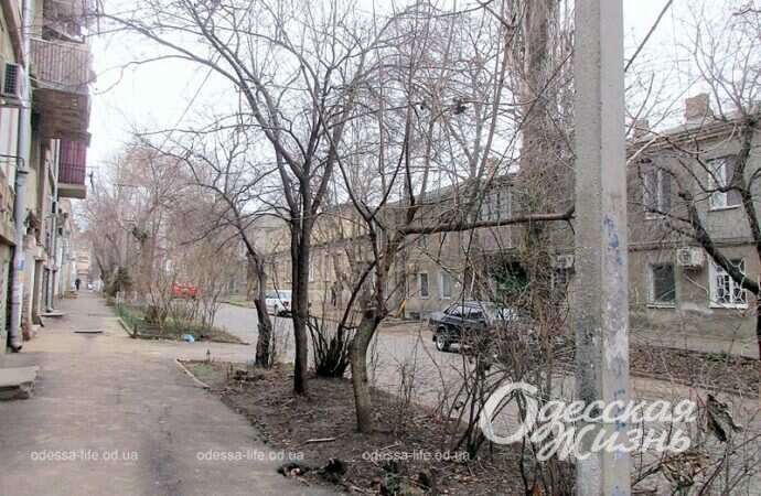 Одесская улица Садиковская, столб, деревья