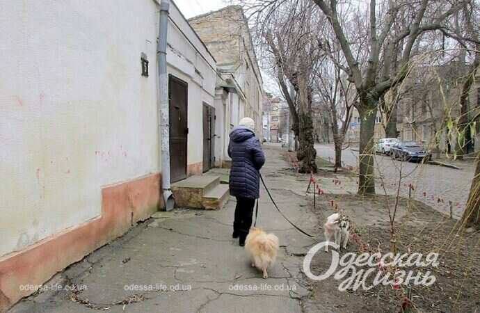 Одесситка гуляет с собаками по улице Садиковской