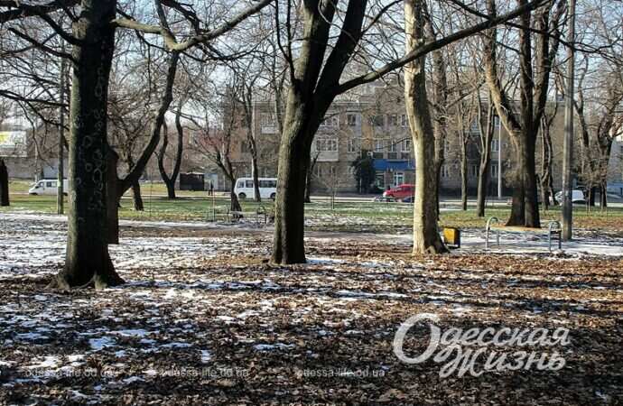 Сквер Гамова, зима 2023