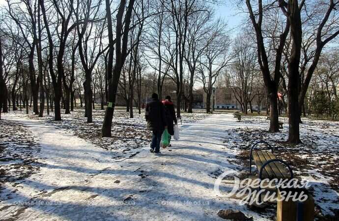 Сквер Гамова, снег