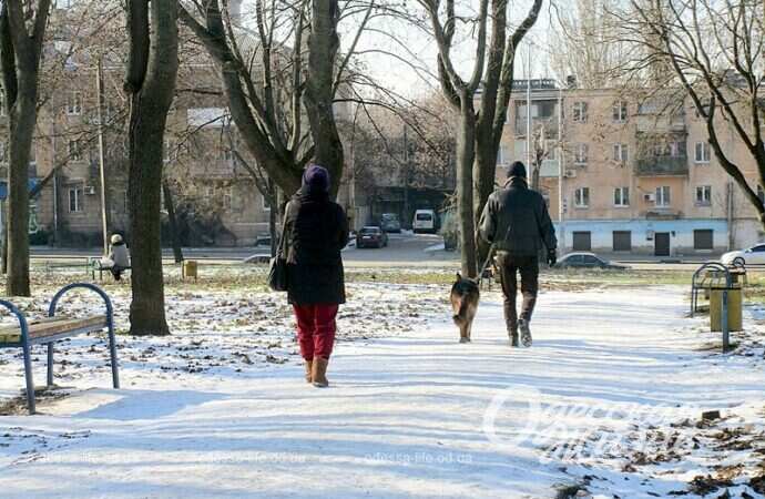 Сквер Гамова зимой