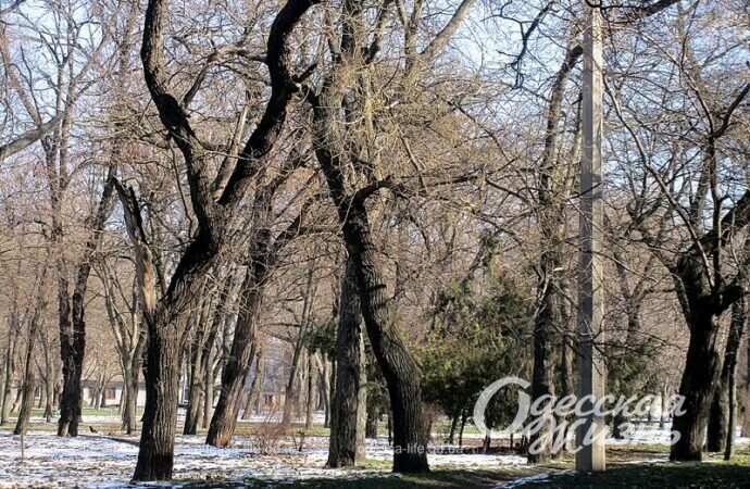 Одесса, сквер Гамова