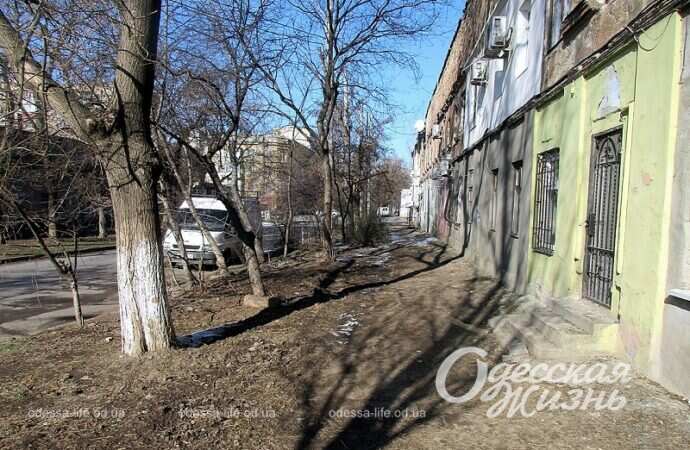 Одесская улица Головковская, дом, дерево