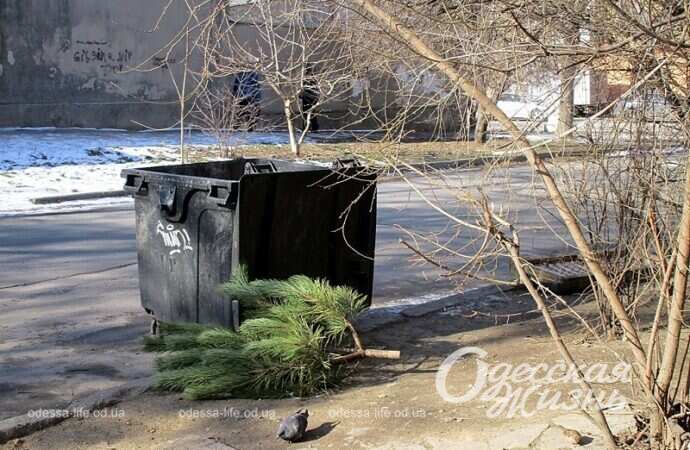 Одесская улица Головковская, выбросили елку